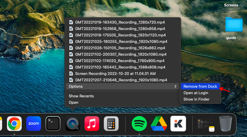 Screen_Shot_2022-12-13_at_1.32.40_PM.png