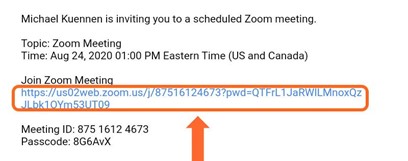 Zoom_Basics_1.jpg
