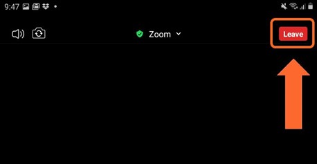Zoom_Basics_10.jpg