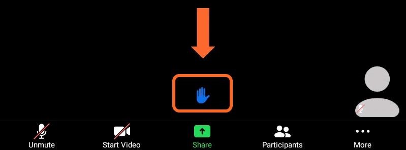 Zoom_Basics_17.jpg